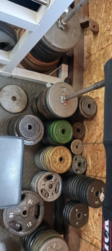 Steel weight plates 1" hole in Exercise Equipment in Kitchener / Waterloo