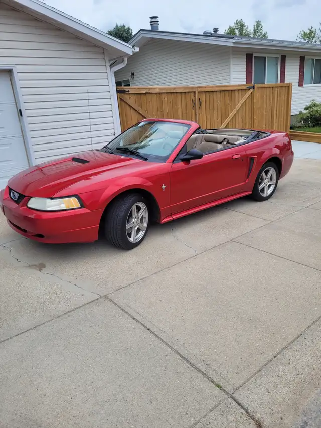 2000 mustang convertible in Cars & Trucks in Lethbridge - Image 5