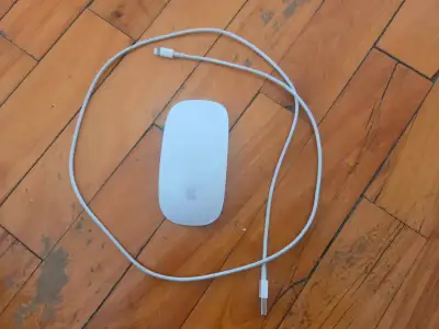 Apple Magic Mouse 2 A1657 Wireless Bluetooth Lightning, View more