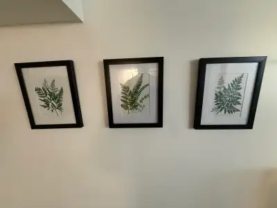 3 leaf pictures frames , View more