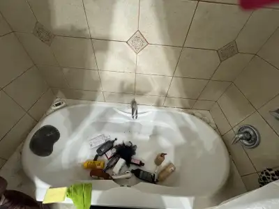 You need a break ! Looking for a house cleaner, View more