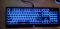 Razer Cynosa Chroma Gaming Keyboard (RGB Lights)