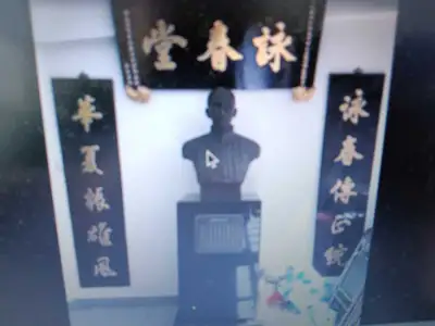 Ving Tsun Tai Chi & Wellness Class, View more