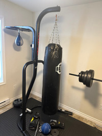 Heavy bag stand with speed bag 