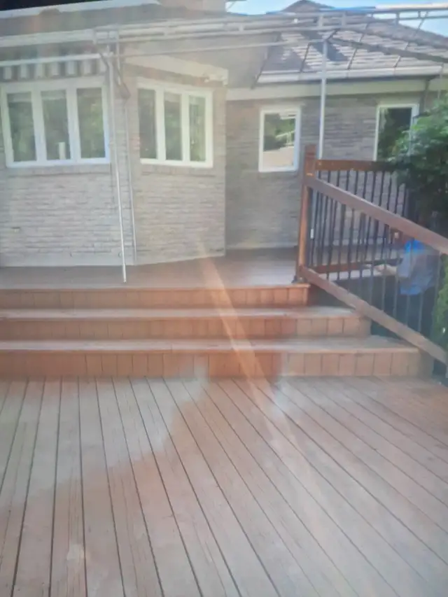 Handyman for Renovations607293956435496967
