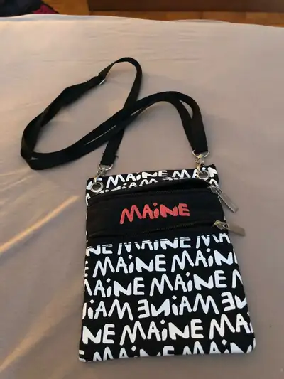 Small vacation purse with two zippered pockets. Approx size: 7”x9”
