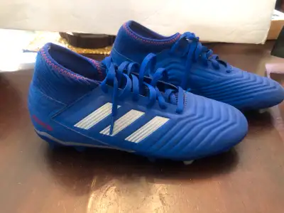 Boys Blue Soccer Shoes / Cleats Size 6. Predator. Good condition Was $40 Now $20 Cash or E-transfer...