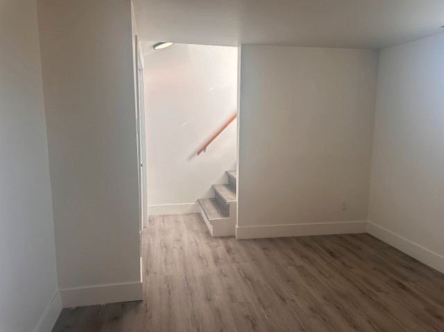 Basement Apartment Available Now! in Long Term Rentals in Moncton