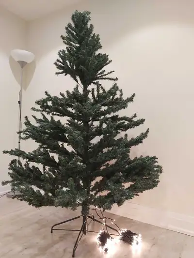 Christmas Tree, View more