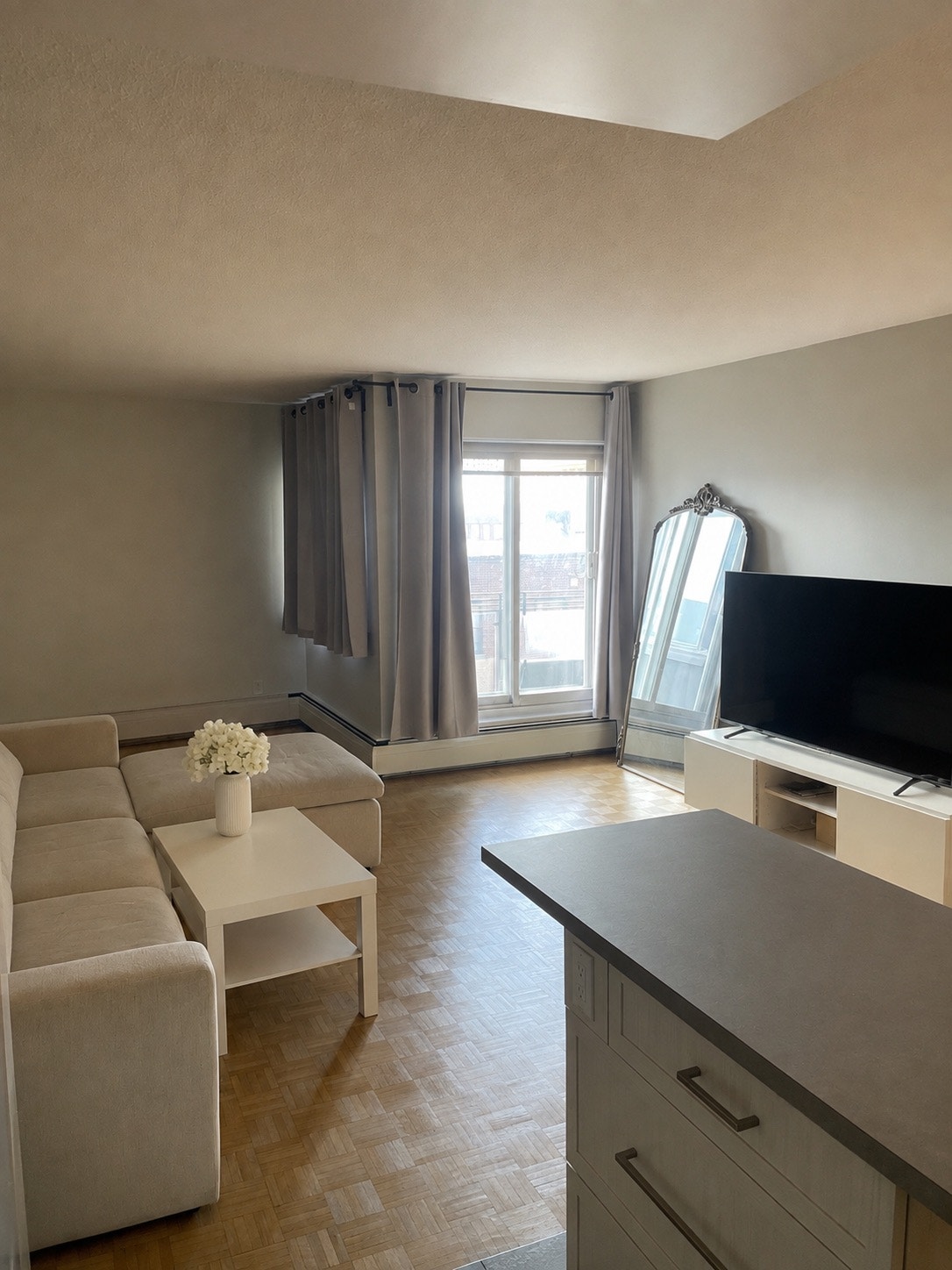 Grand 3 1/2 près de HEC/udem/polytechnique Montreal — photo 1