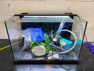 25 gallon rimless fish tank full setup, View more