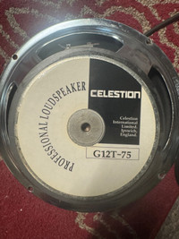 Celestion G12-75