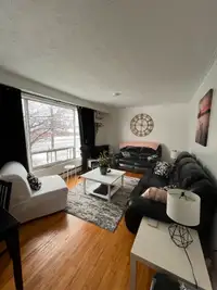 Female Roommate Wanted! Small private room for rent in Etobicoke