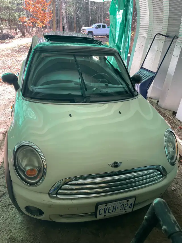 mini cooper