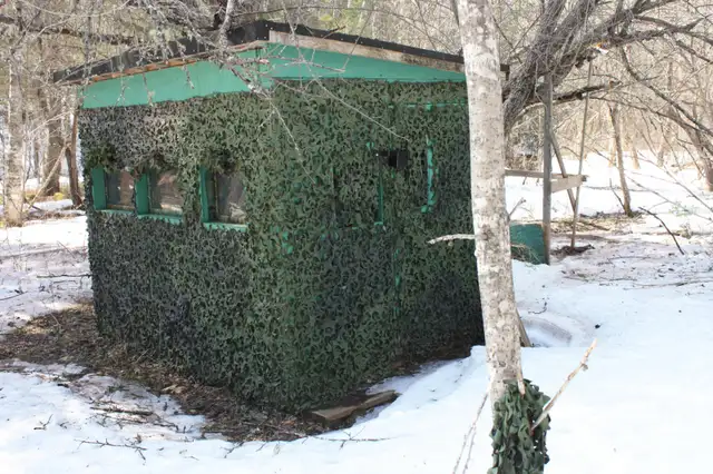 cabin in the woods for sale in Houses for Sale in Saint John - Image 10
