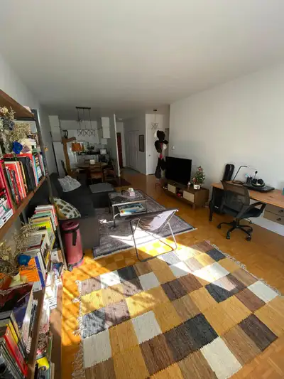 Beautiful, huge 3 1/2 located in downtown (Peel metro), close to Mt Royal park and all amenities. Al...