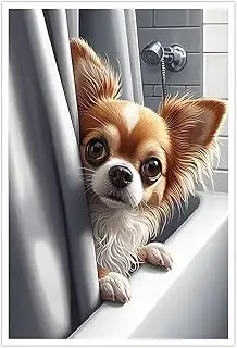 Looking for small breed dog, View more