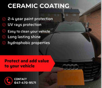 2 year paint protection . Ceramic coat 