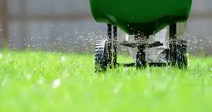 Lawn Care & Weed Control Services62864354599811121
