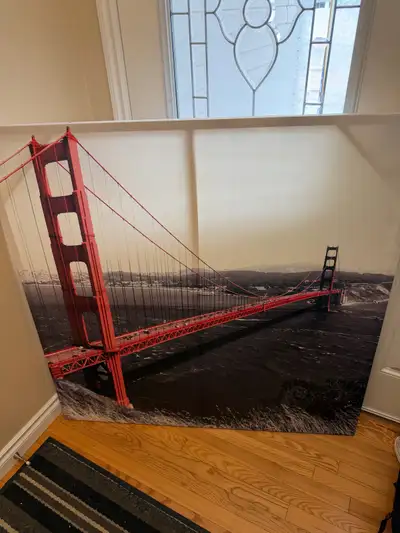 Wall art from ikea great condition