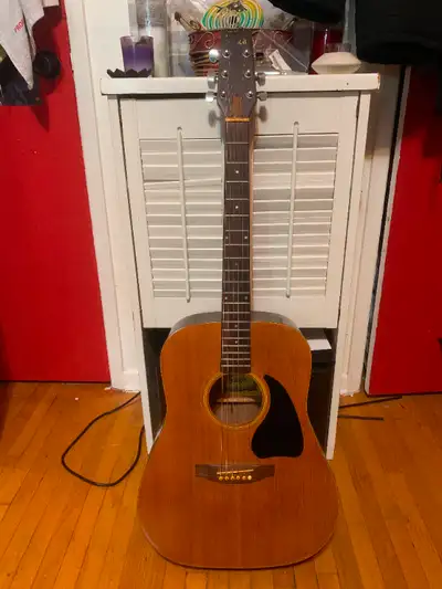 Acoustic Guitar + Case