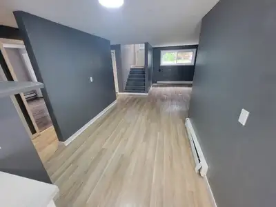 3 bdrm apartment. Newly renovated.