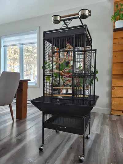 Cage à oiseau, View more