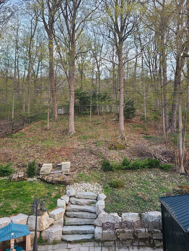 backyard cleaning $18/h May 5th in General Labour in Hamilton