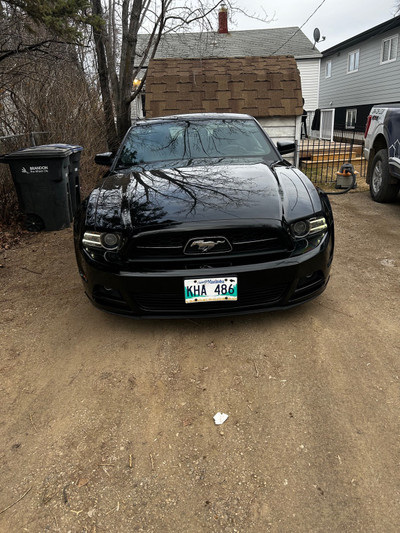 2014 Mustang V6