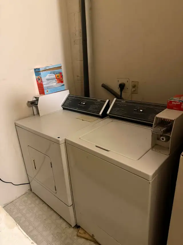 Basement Apartment for Rent 1 Bedroom 1 Bathroom in Long Term Rentals in Mississauga / Peel Region - Image 11
