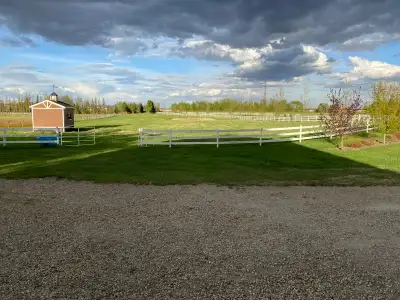 summer horse pasture, View more