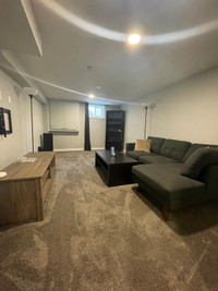 Fully Furnished, 1 Bedroom Basement Apartment 