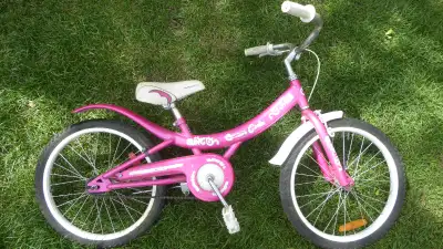 Kids 20-inch bike for $30. Please let me know if you're interested.
