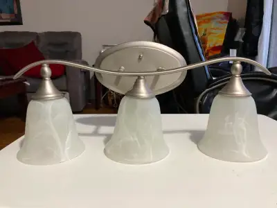 3-Lights Bath Vanity Brushed Nickel Costco Good conditionMetal, View more