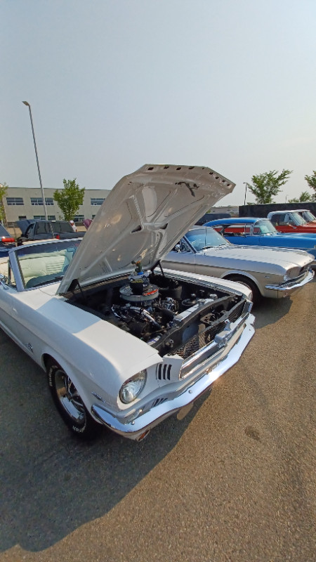 1964 Mustang for sale. in Classic Cars in Grande Prairie - Image 3
