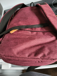 Nordace Burgandy Backpack