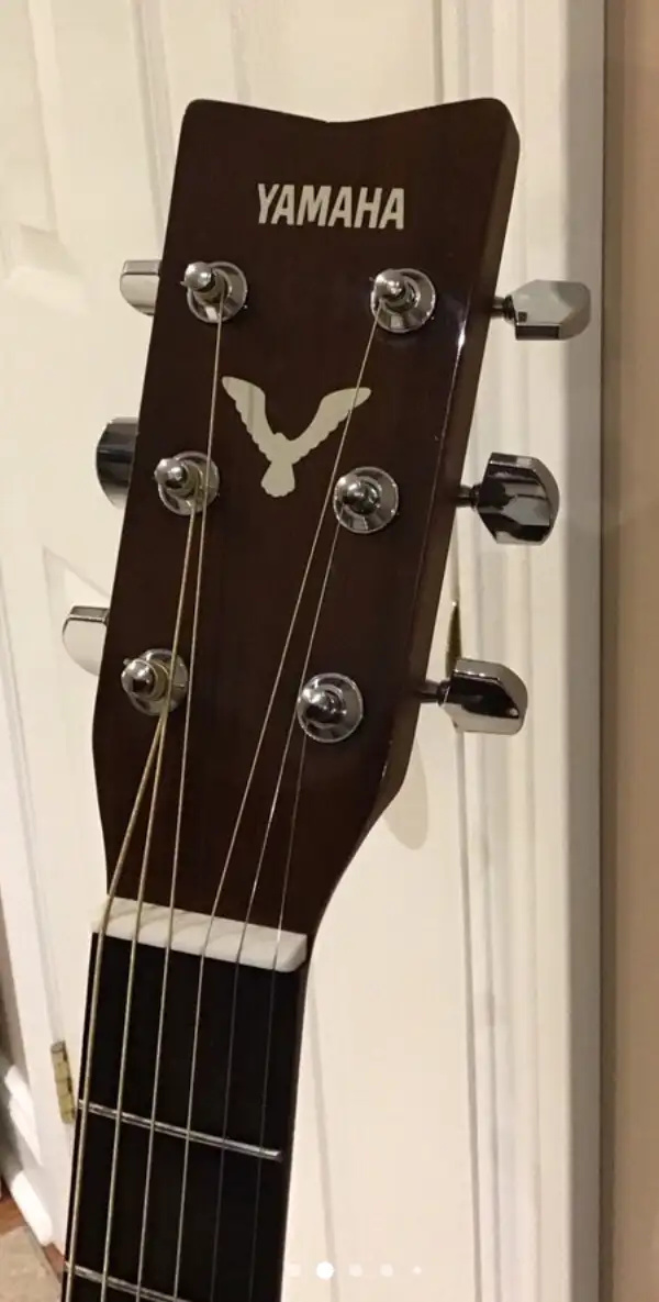 Guitar Jamming