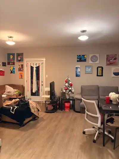 (March-June) SUBLET room in a 2-bedroom apartment in the south end. 1 min from SMU. Furnished, there...