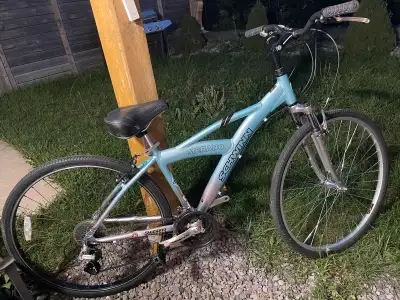 37 ads for schwinn hybrid bike in All Categories in Canada Kijiji Marketplaces