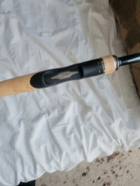 Shimano Expride spinning rod New