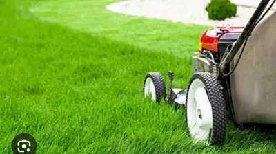 Grass cutting, View more