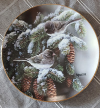 Winter Gems-Junco  Created From Original Painting by R.Millette