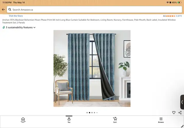 Blue Curtains454687496204472321