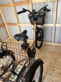  Three wheeled electric bike 
