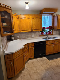 Oak Kitchen Cabinets 
