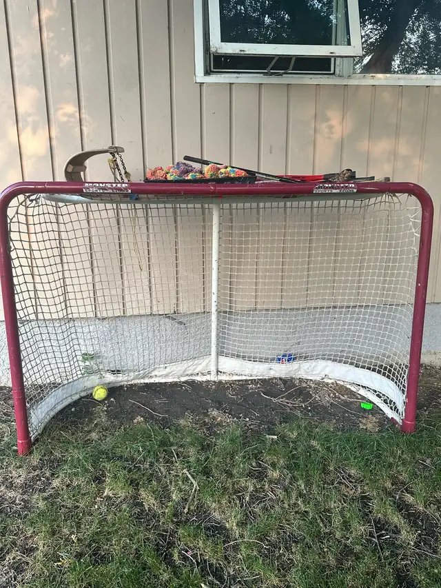 hockey net