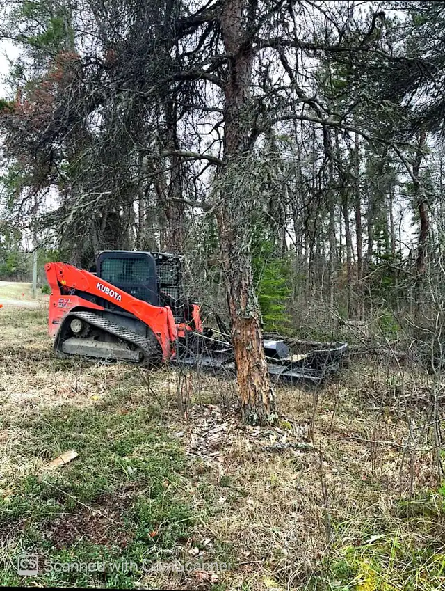 Brush Mowing 460148150769428480