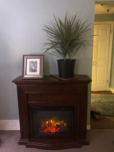 Electric Fireplace, View more