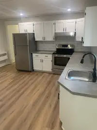 HUGE 2 +1 BED and 1 Bath in Hamilton 
