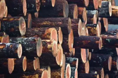Looking for Class 1 Driver for log and equipment hauling based out of Rocky Mountain House area. Exp...